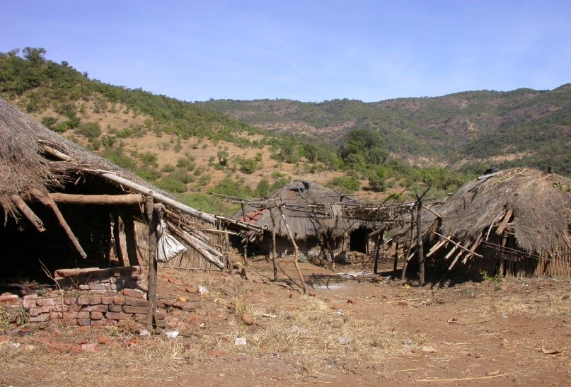 Tribal Development Project